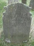 image of grave number 3535